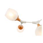 Потолочный светильник EVOLUCE CIOTOLLA SLE113502-05