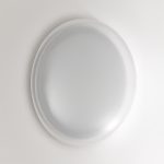 Настенно-потолочный светильник Sonex Pale Jolly 7776/DLN