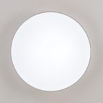 Потолочный светильник Citilux Купер CL72495G0