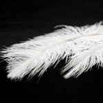 Подвесная люстра Lussole LSP-8601