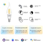 Лампа светодиодная диммируемая филаментная Gauss E14 4,5W 2000-6500K прозрачная 1280112