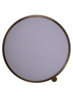 Потолочный светильник Zortes Gimpel ZRS.1209.17