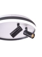 Потолочный светильник Zortes Raizy ZRS.1888.01