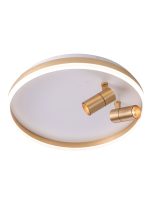 Потолочный светильник Zortes Raizy ZRS.1888.02