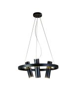 Подвесная люстра Zortes Tweeny ZRS.1828.50