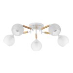 Потолочная люстра Citilux Tika CL133150