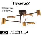 Потолочная люстра Kink Light Рапис 07645-6D,19(20)