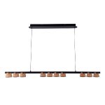 Подвесная люстра Favourite Interline 4266-10P