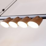 Подвесная люстра Favourite Interline 4266-10P