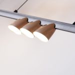 Подвесная люстра Favourite Interline 4266-7P