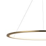 Подвесной светодиодный светильник Loft IT Ring 10014XL