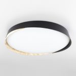 Потолочный светильник Citilux Bonny CL754451G