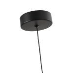 Подвесной светильник Favourite Cattivo 4452-1P