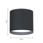 Уличный потолочный светильник Favourite Fantum 4663-1U