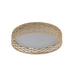 Потолочный светильник F-Promo Conrad 4749-4C