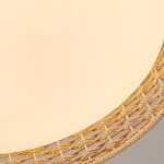 Потолочный светильник F-Promo Conrad 4749-4C