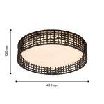 Потолочный светильник F-Promo Conrad 4750-4C