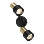 Спот Citilux Sat CL505621