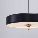 Подвесной светильник DeLight Collection Revolve 9187P black/gold