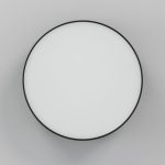 Накладной светодиодный светильник Citilux Тао CL712122N