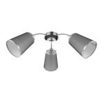 Потолочная люстра EVOLUCE MALEONTE SLE103002-03