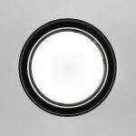 Уличный потолочный светильник Elektrostandard Light 4690389180835