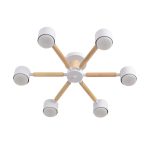 Потолочный светильник Lumion Comfi Vudi 8306/6C