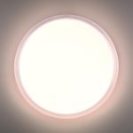 Настенно-потолочный светильник Sonex Pale Jolly 7776/DLN