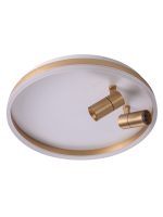 Потолочный светильник Zortes Raizy ZRS.1888.02