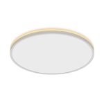 Потолочный светильник Citilux Norma CL748500