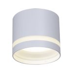 Накладной светильник Reluce 53001-9.5-001LD GX53 WT