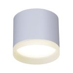 Накладной светильник Reluce 53004-9.5-001LD GX53 WT