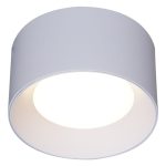 Накладной светильник Reluce 53060-9.5-001LD GX53 WT