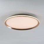 Потолочный светильник LED4U L3020-500 GD