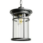 Уличный подвесной светильник Feron Турин PL765 51819