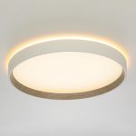 Накладной светильник Citilux Etalon CL750320R