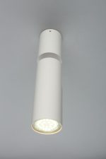 Настенно-потолочный светильник Aployt Berenis APL.007.02.01