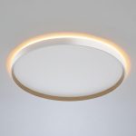 Накладной светильник Citilux Etalon CL750500R