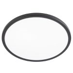 Потолочный светильник Citilux Basic Line CL738321VL