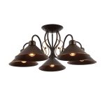 Потолочный светильник EVOLUCE CIOLLA SLE120402-05