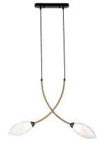 Подвесной светильник Indigo Fiore 13001/2P Black V000140