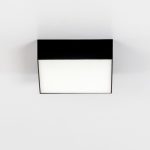 Накладной светильник Citilux Тао CL712X122N