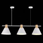 Подвесной светильник Evoluce Modica SLE125103-03