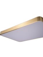 Потолочный светильник Zortes Monna ZRS.1209.09