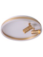 Потолочный светильник Zortes Raizy ZRS.1888.02