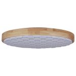 Потолочный светильник Reluce 60530-0.2-60W