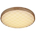 Потолочный светильник Reluce 60530-0.2-60W