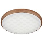 Потолочный светильник Reluce 60530-0.2-60W