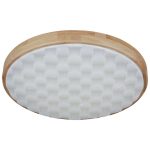 Потолочный светильник Reluce 60530-0.2-60W