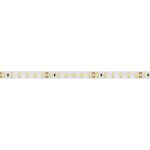 Светодиодная лента Arlight RT-A120-8mm 24V Warm2700 (9.6 W/m, IP20, 2835, 5m) 010346(2)